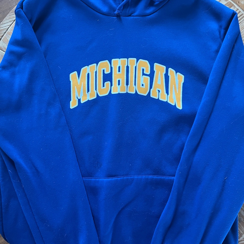 Blue Michigan Hoodie